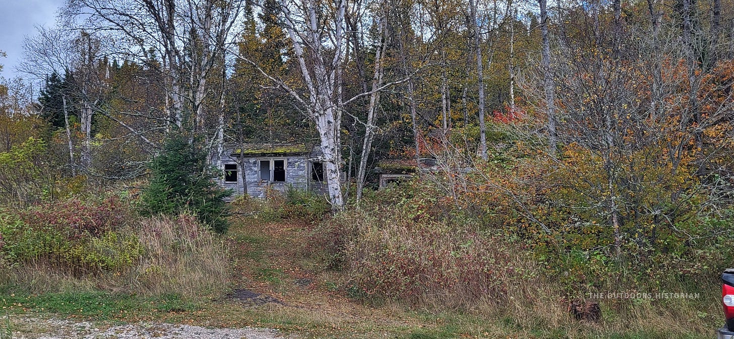 A dilapidated wooden cabin in the woods. The roof is collapsing, the wood is grey and weathered, and tall grass and shrubs are growing up around the walls.
