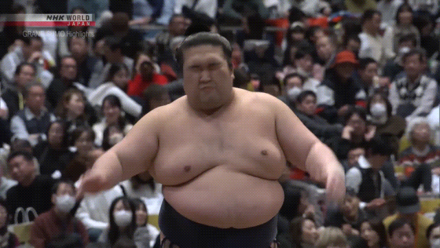 Sumo Stomp! | Tim Bissell | Substack