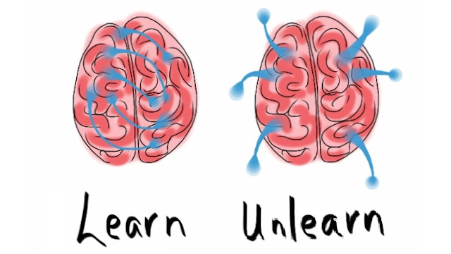 An integrative framework of organizational unlearning – RealKM