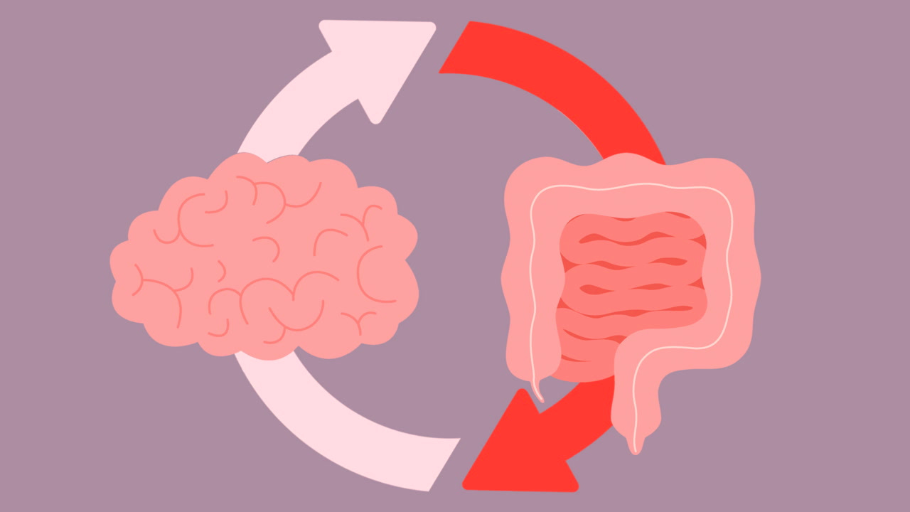 How Poor Gut Health Can Increase Anxiety and Depression Risk & What to Eat  to Help