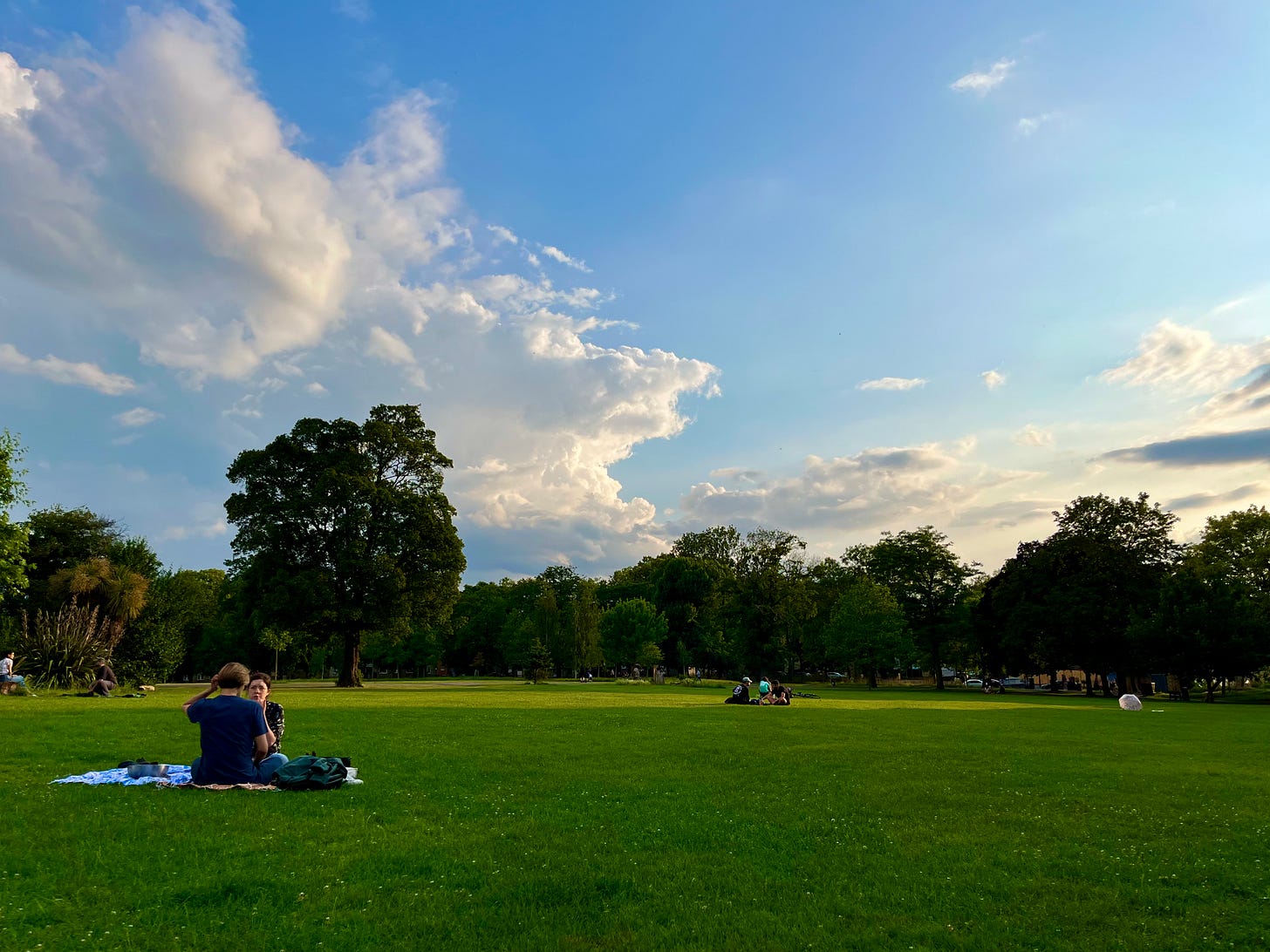 Summertime in the park