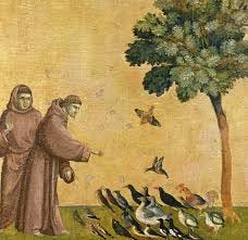 Francis of Assisi – Saint as 'holy fool ...