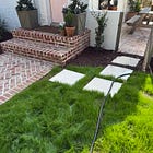 The grass is brown because I haven't watered it 