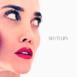 \ud83c\udf37Red Tulips