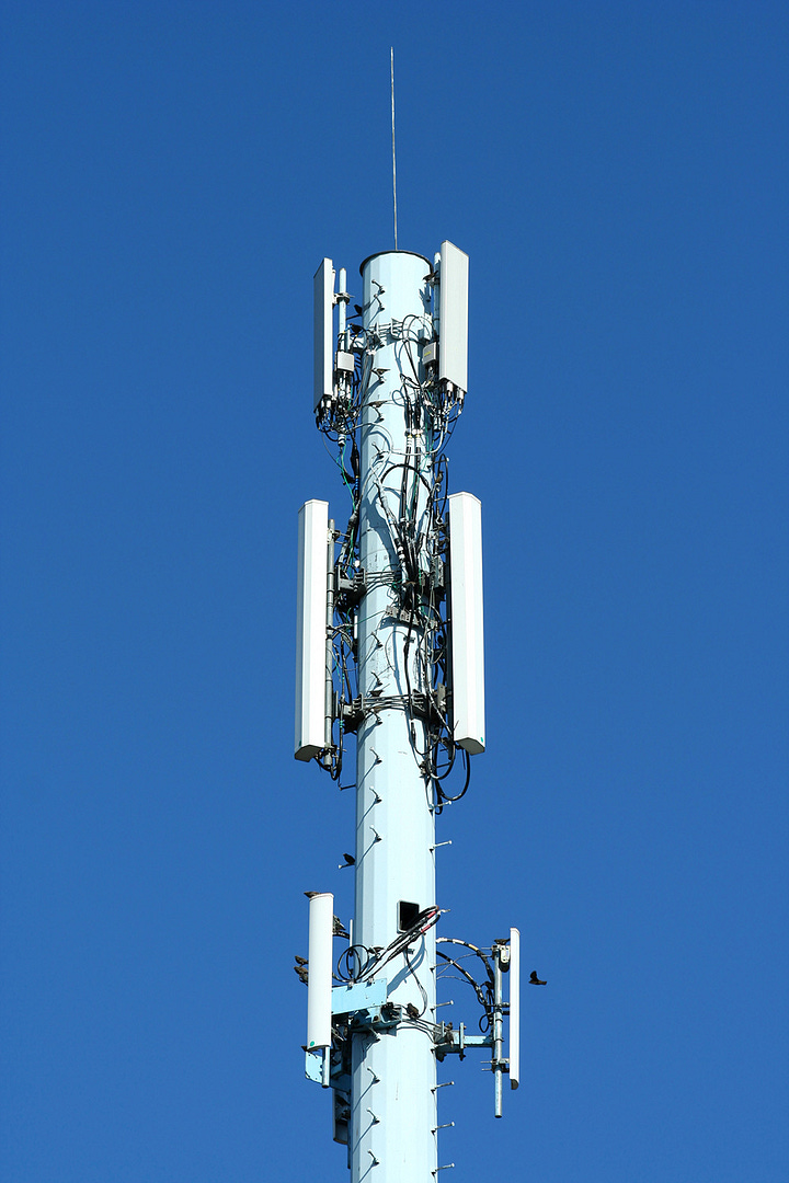 Antenna a settore
