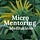 Micro Mentoring Meditations
