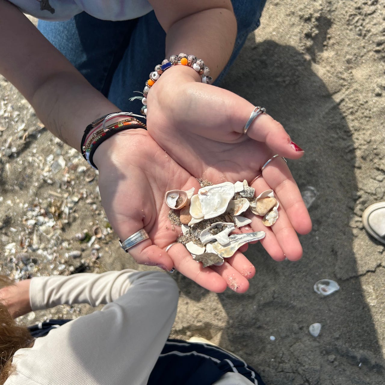 seashells \ud83e\udee7\ud80c\udff2*ੈ₊˚\ud83c\udf90