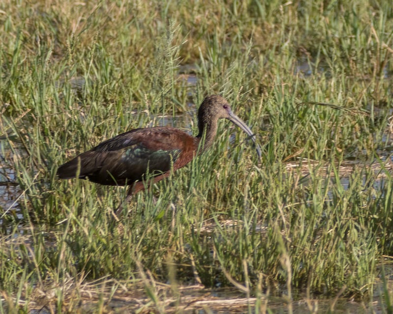 20250908-Manville-29-Edit.jpg 20250908-Manville-29-Edit.jpg