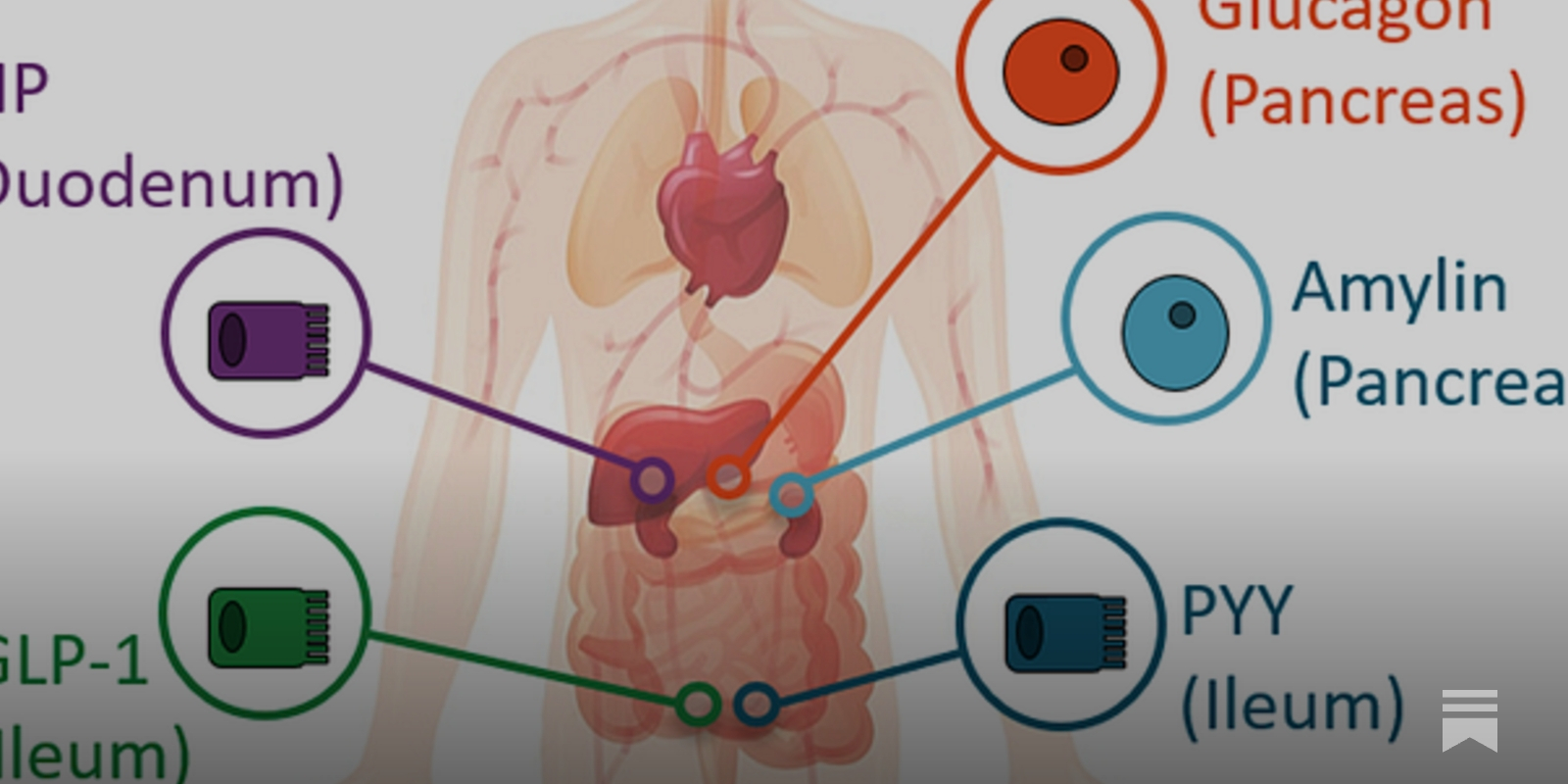 glp 1 api Inside the GLP-1 Boom: What a Biotech Analyst and PhD/Nutritionist Thinks