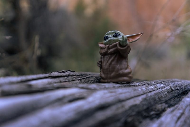 baby yoda on a tree