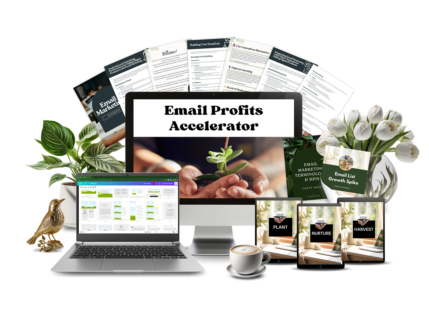 Email Marketing Email Marketing