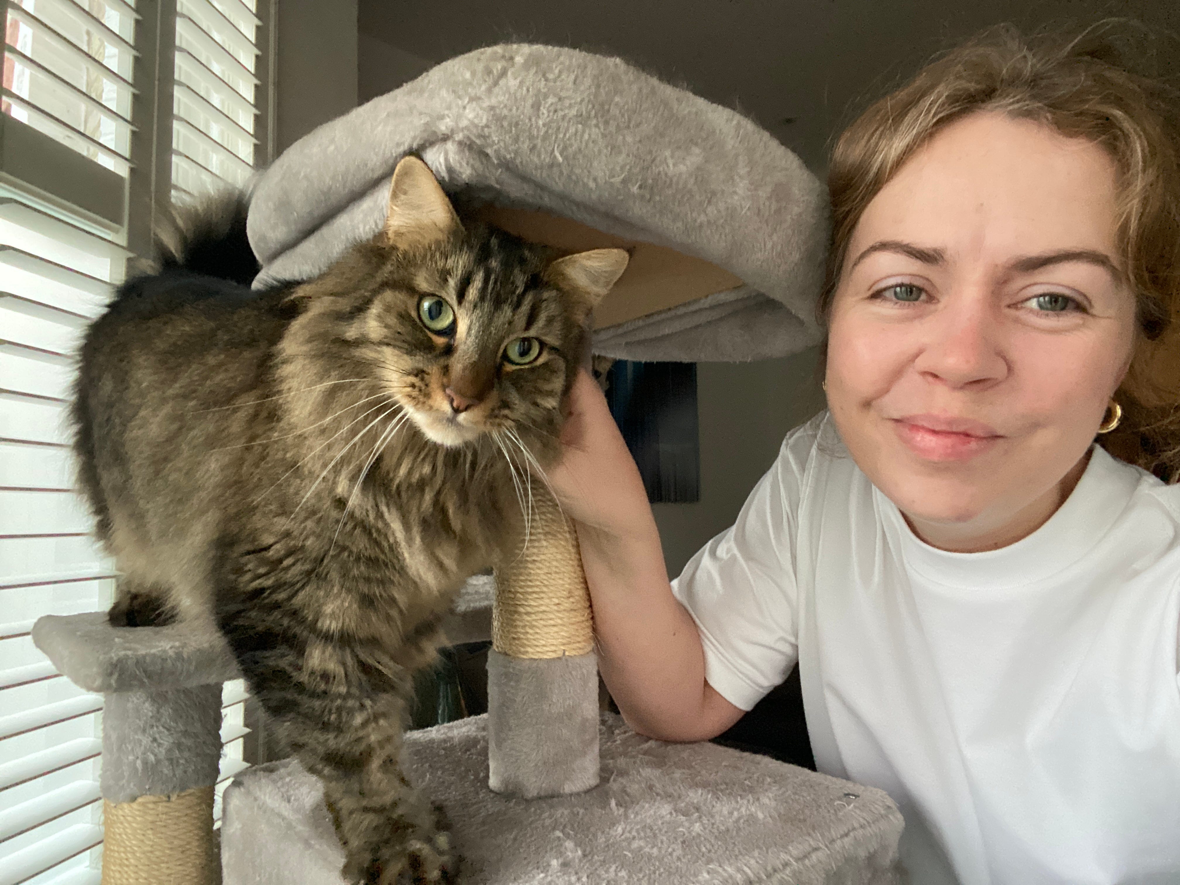 5 things I check before saying yes to a house sit