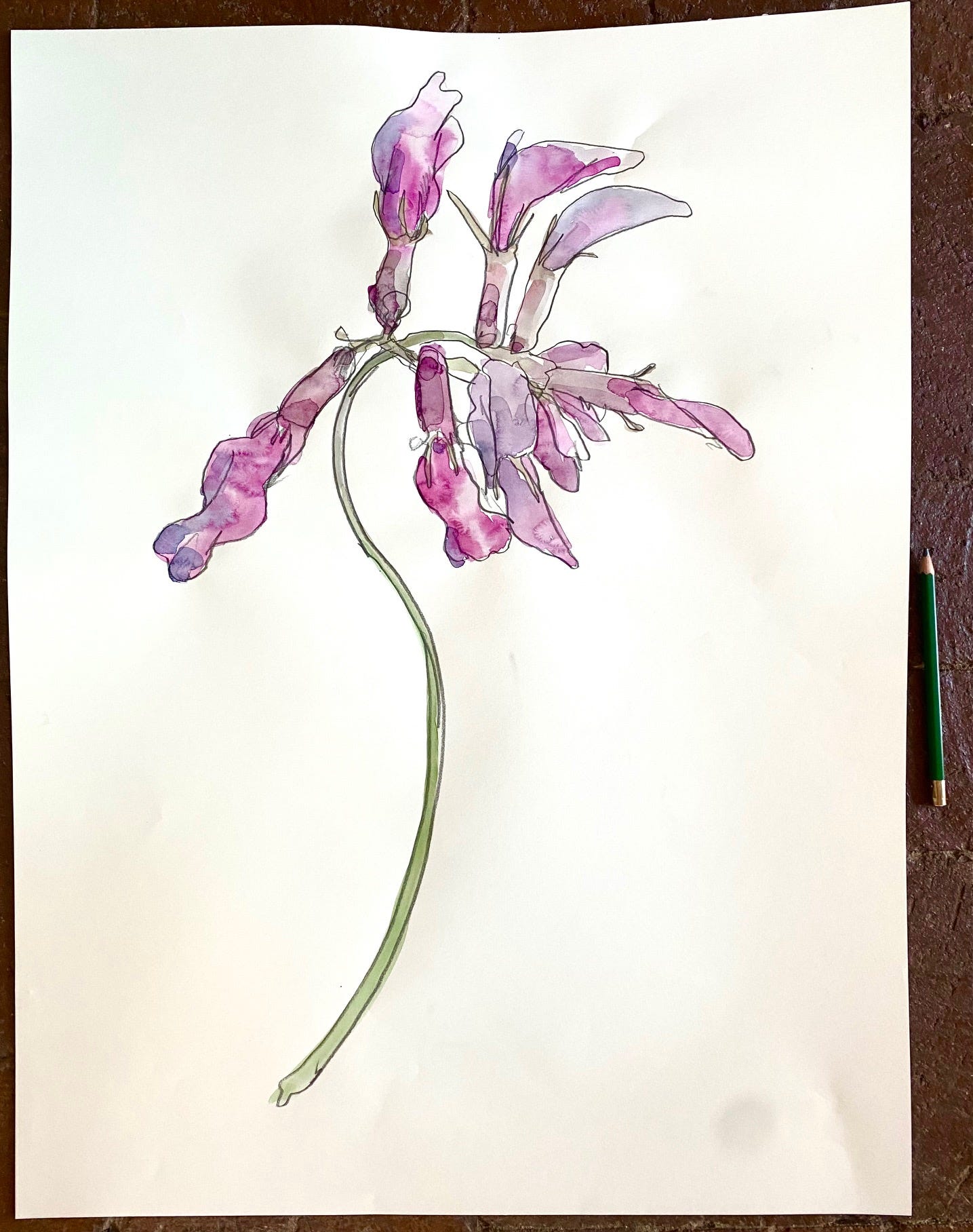 image6.jpeg
