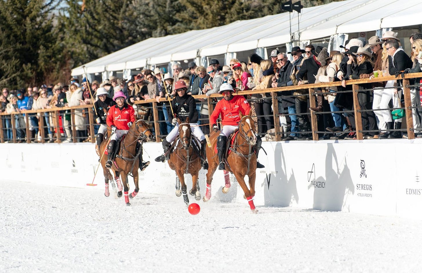 DSC07915.jpg DSC07915.jpg