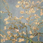 Weary eyes, blossom-light