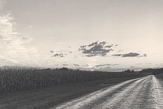 Words in the Wild | Jonathan King | Substack