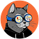 The OSINT Newsletter
