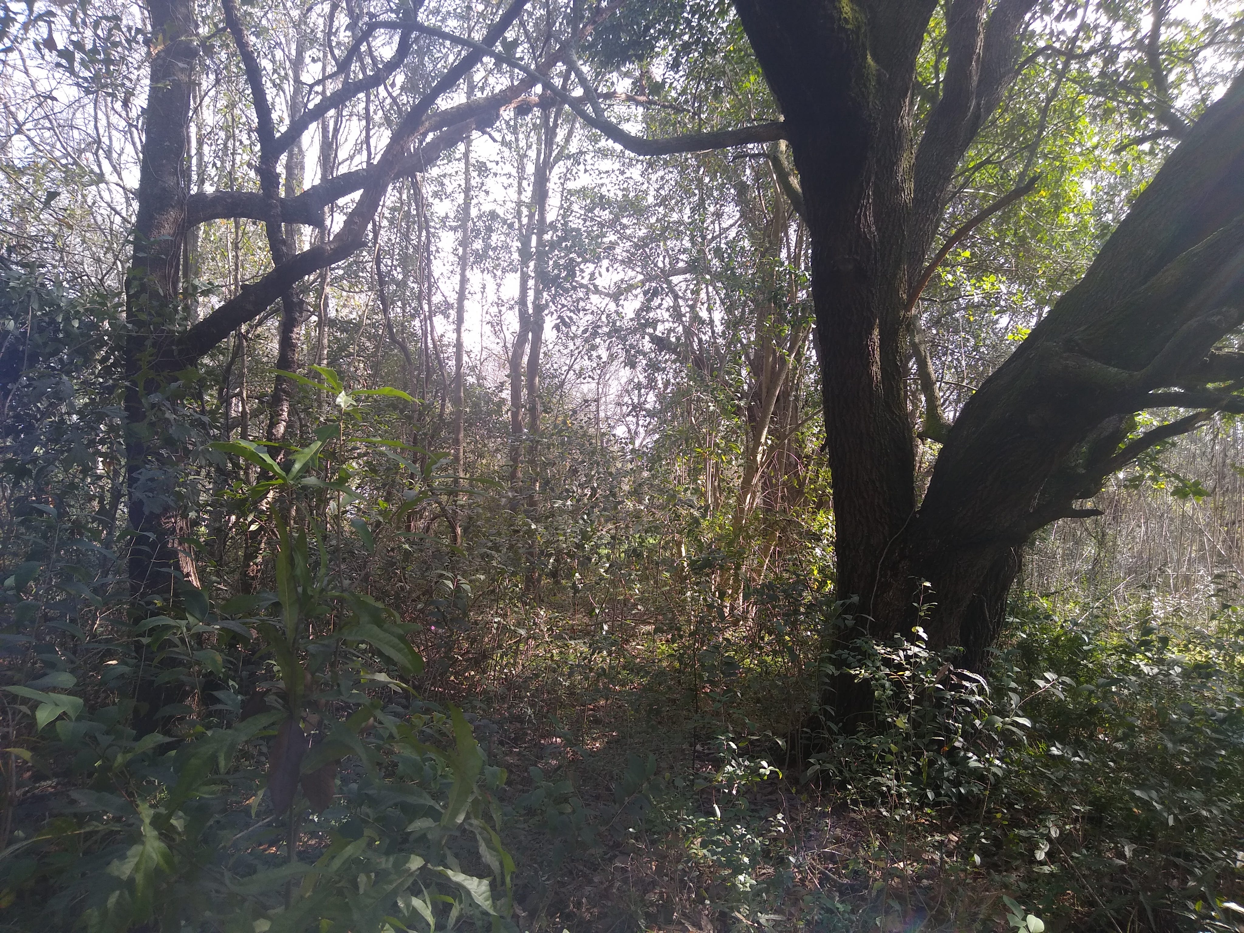 Substack profile picture for @matrix