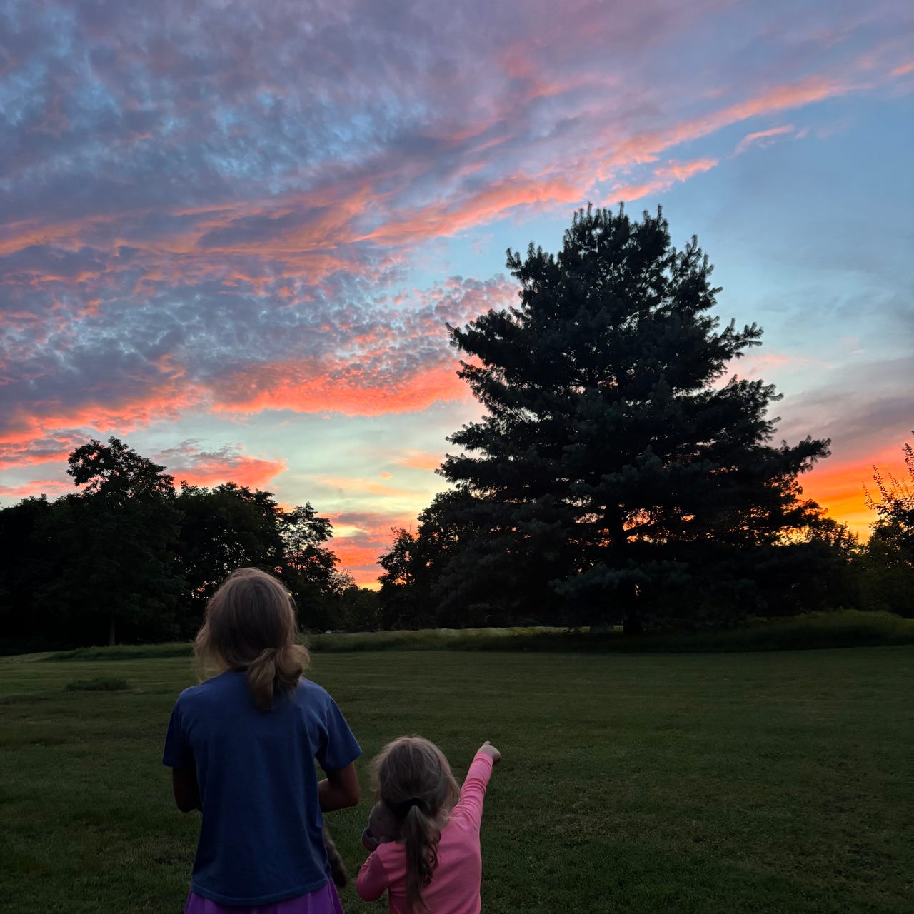 Where Feathers Pierce