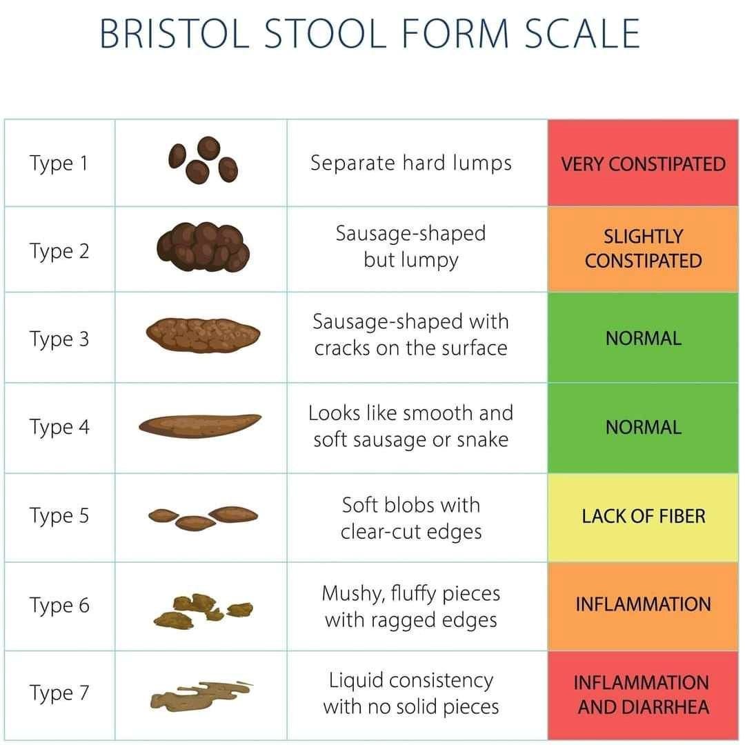 💩What can poo tell you ??💩 - Baildon Veterinary Centre
