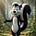 Clallam County Skunks's avatar