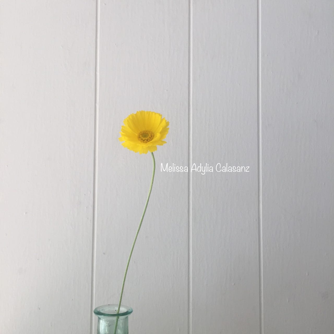 Melissa Adylia Calasanz . Personal Substack