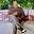 Rudy J. Rayfield Jr.'s avatar