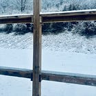 đŞˇBully Stopping