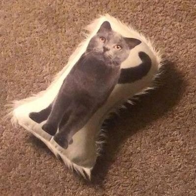 bunny’s Newsletter