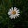 Fareehah 🌷's avatar