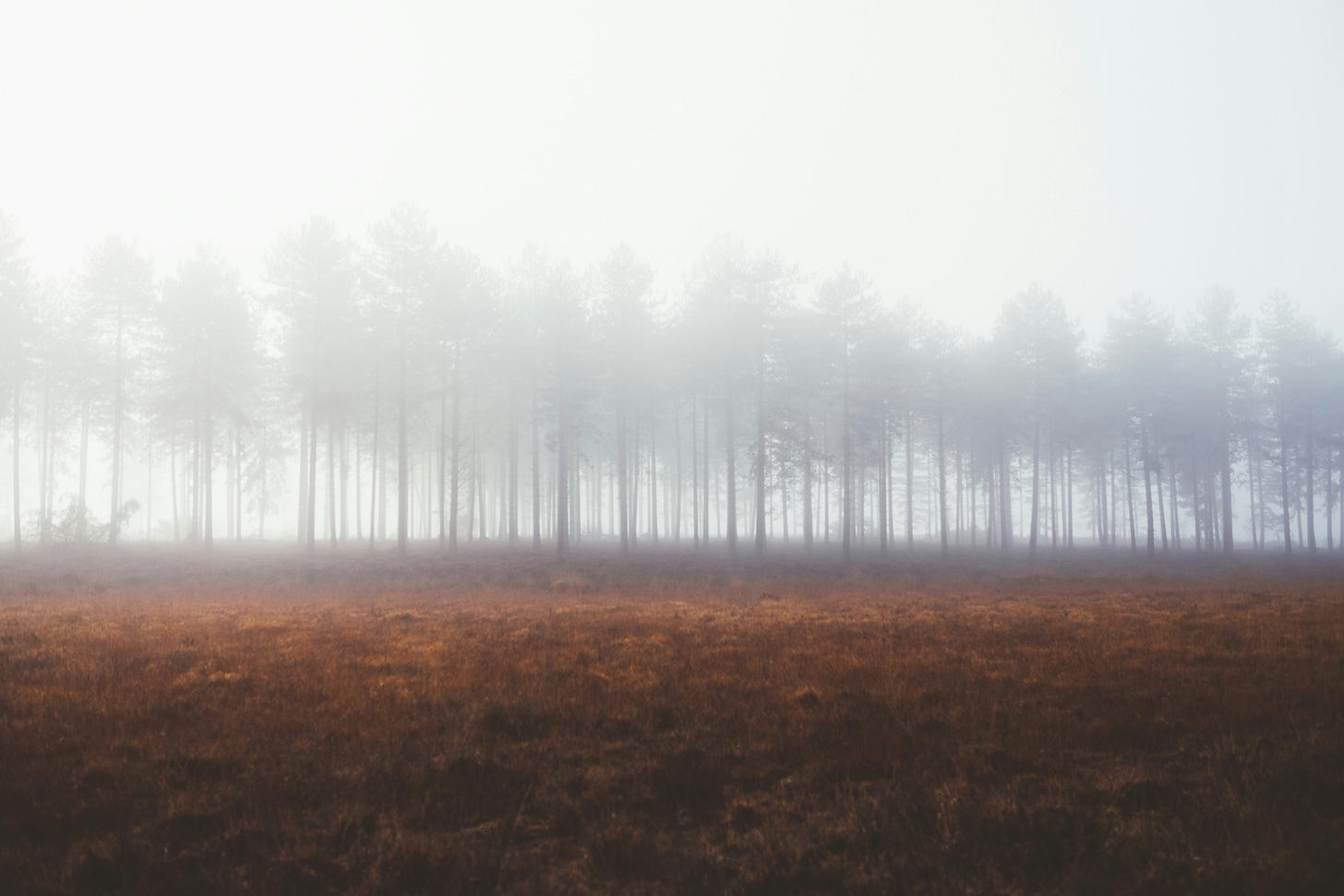 Field Note: What is the belief that has worked so well you have never once stepped outside it?
