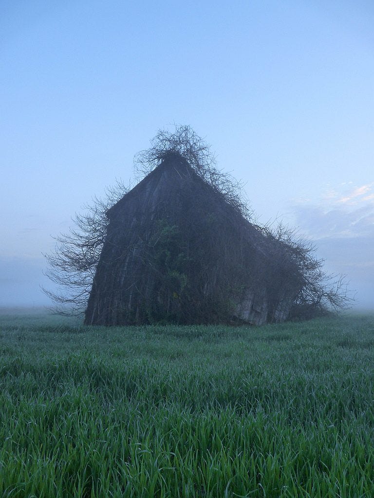 Natura wygrała z tworem ludzkich rąk