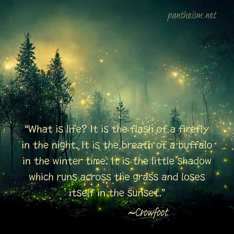 May be an image of text that says 'pantheism ET "What is life? It is the flashi of. firefly in the night. It is the. breath of. abuffalo in the winter time: It is the tittle Shadow Shadow which runs across the grass and loses itself in the sunset." ~Crowfoot'