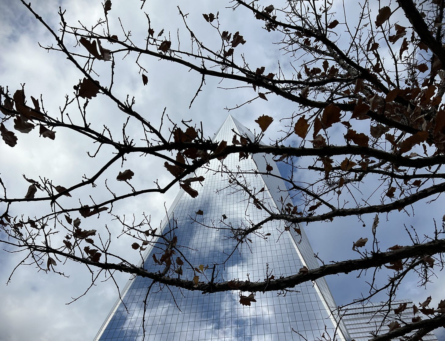 One World Tower obscured by sparse fall trees.
