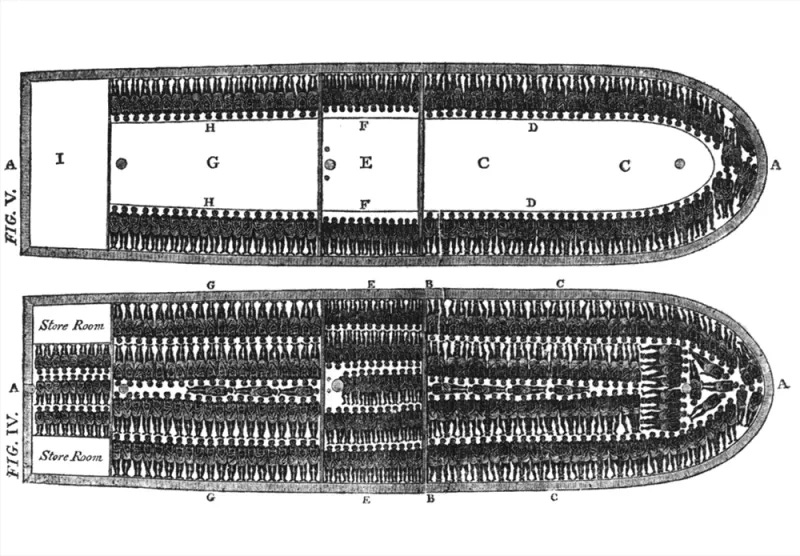 Slave Ship Diagram | Smithsonian Ocean