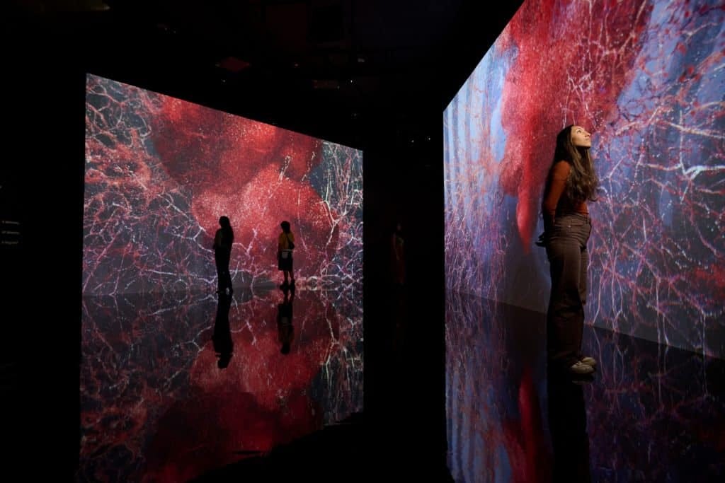 Marshmallow Laser Feast: Works Of Nature at ACMI - Secret Melbourne
