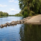 Albany Man Dies After Drowning in Willamette River