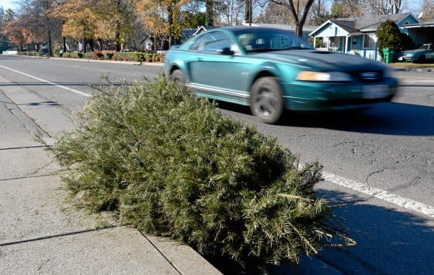 Who's taking Christmas trees in Butte County? – Chico Enterprise-Record Who's taking Christmas trees in Butte County? – Chico Enterprise-Record