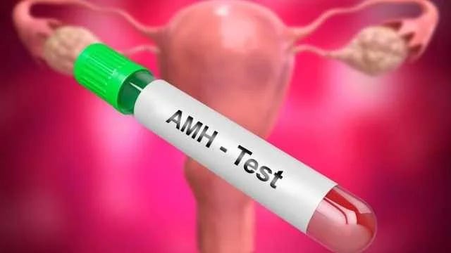 All About Azoospermia And Its Treatment | Shree IVF Clinic - Dr. Jay Mehta