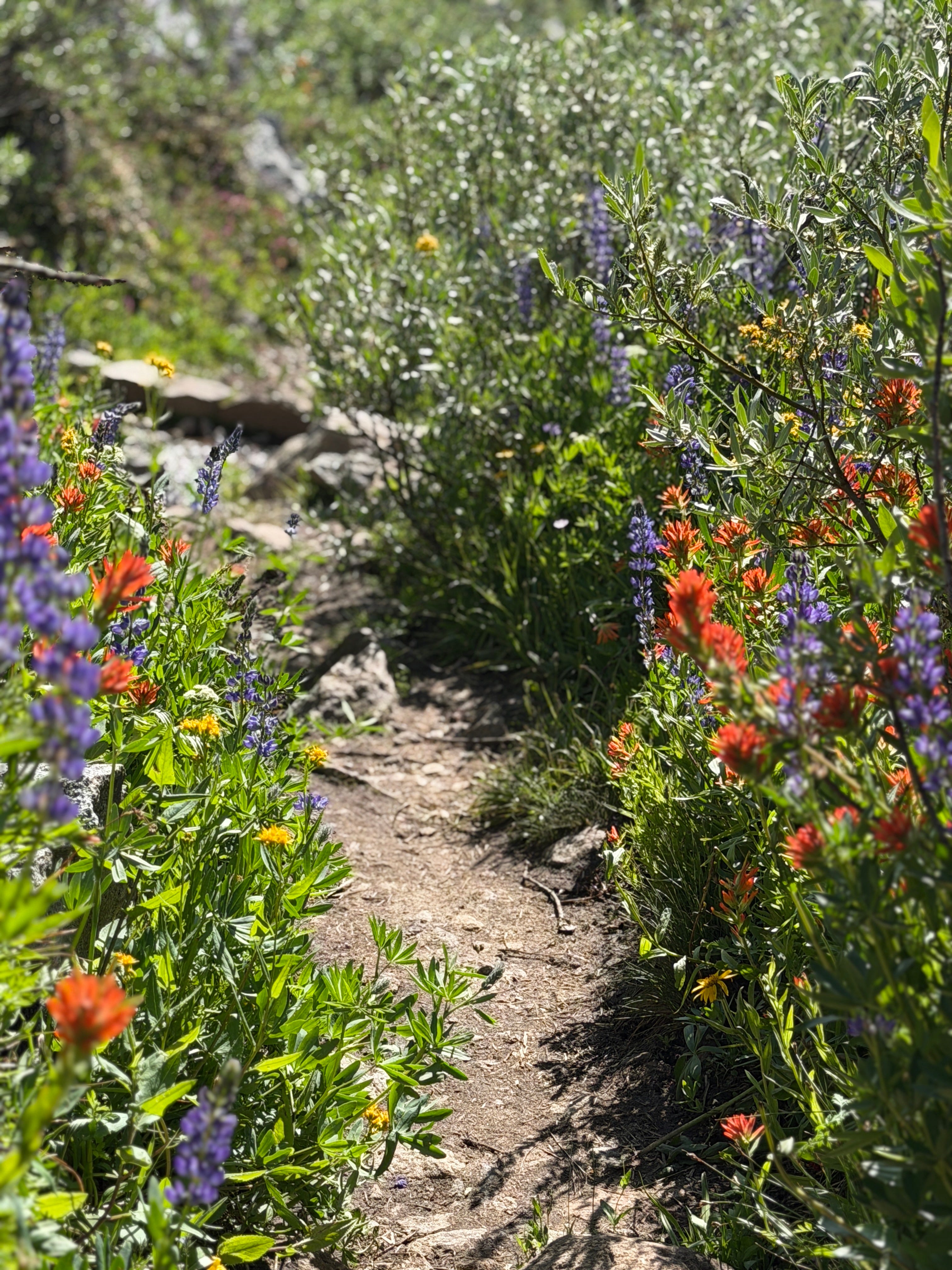 Chapter 11: The Trail Keeps Trailing