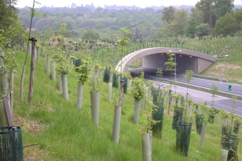 A green bridge over a highway with young trees growing