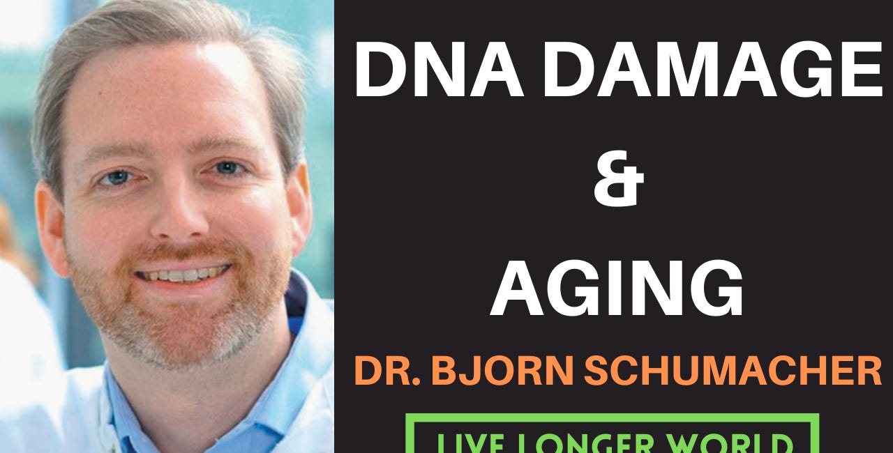 DNA Damage & Aging | Dr. Bjorn Schumacher