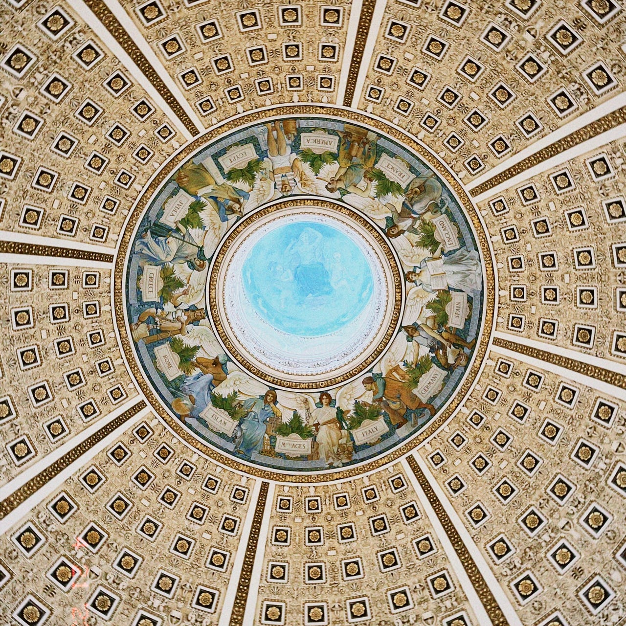 Musings of a College Student