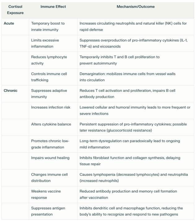 cortisol exposure