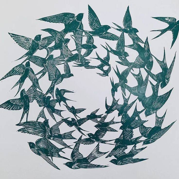 May be an image of bird May be an image of bird