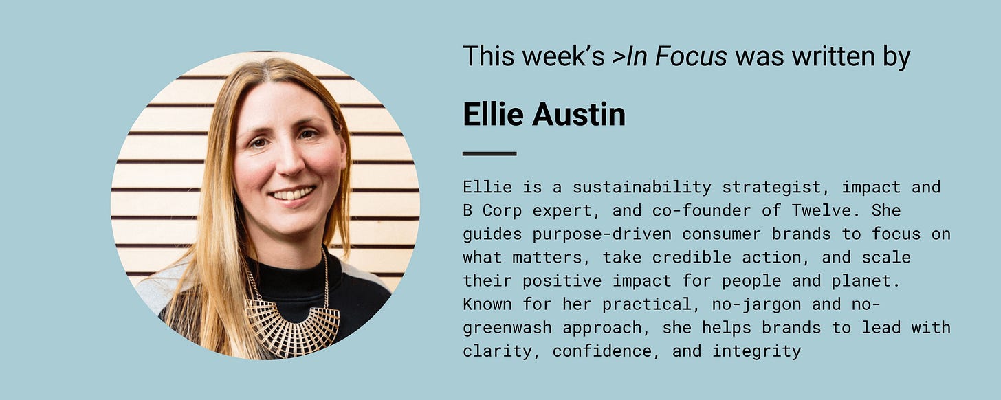 Ellie Austin Twelve