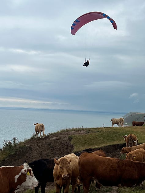 Några bilder från Simrishamn, Ale stenar, Knäbäckshusen, Simrishamn, Tomelilla och så en DKW som vi en gång hade i Björköby.