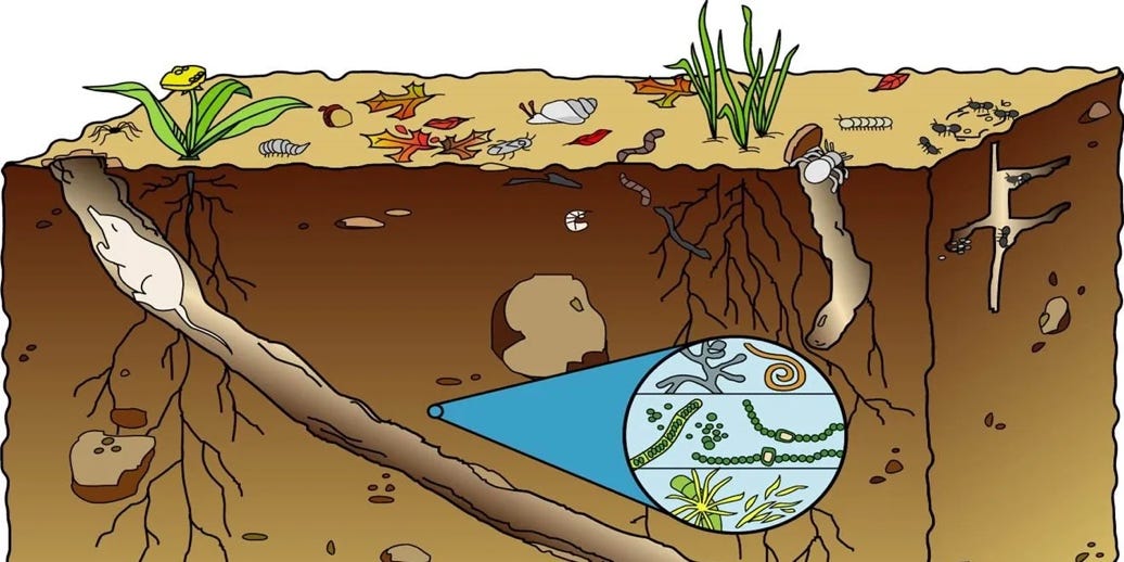 A cartoon of a soil with a blue triangle and a blue triangle
AI-generated content may be incorrect. A cartoon of a soil with a blue triangle and a blue triangle
AI-generated content may be incorrect.
