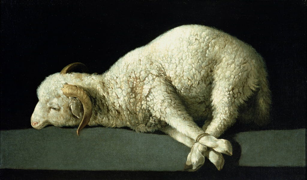 Agnus Dei, c.1635-40  by Francisco de Zurbaran