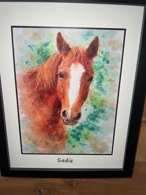 Paintings of horses by Krystal Hindman